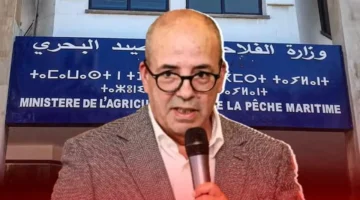 خسائر قياسية.. مزارعو الأرز بسيدي قاسم يواجهون دعم مجمد وسقي ناقص